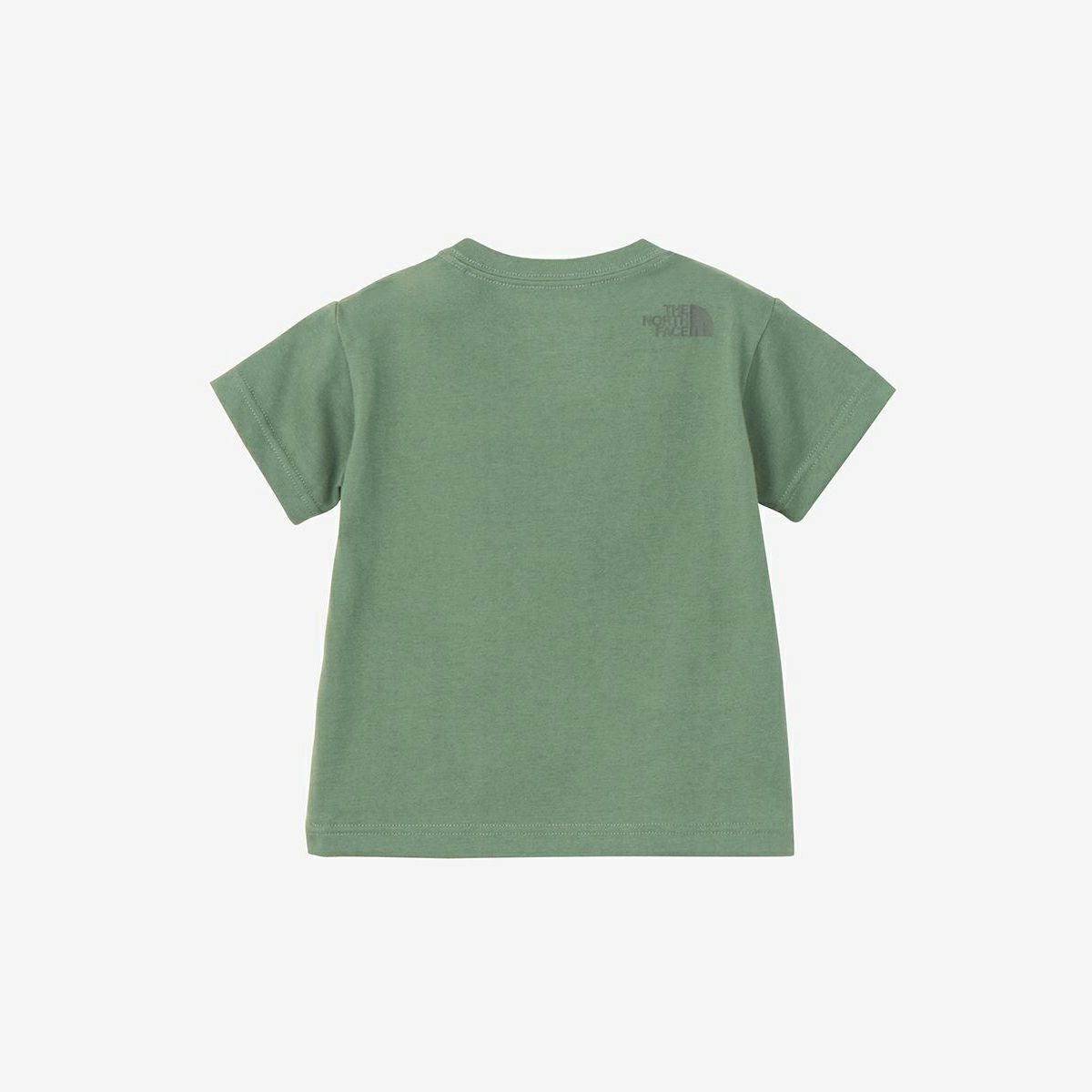 NTB32534ST