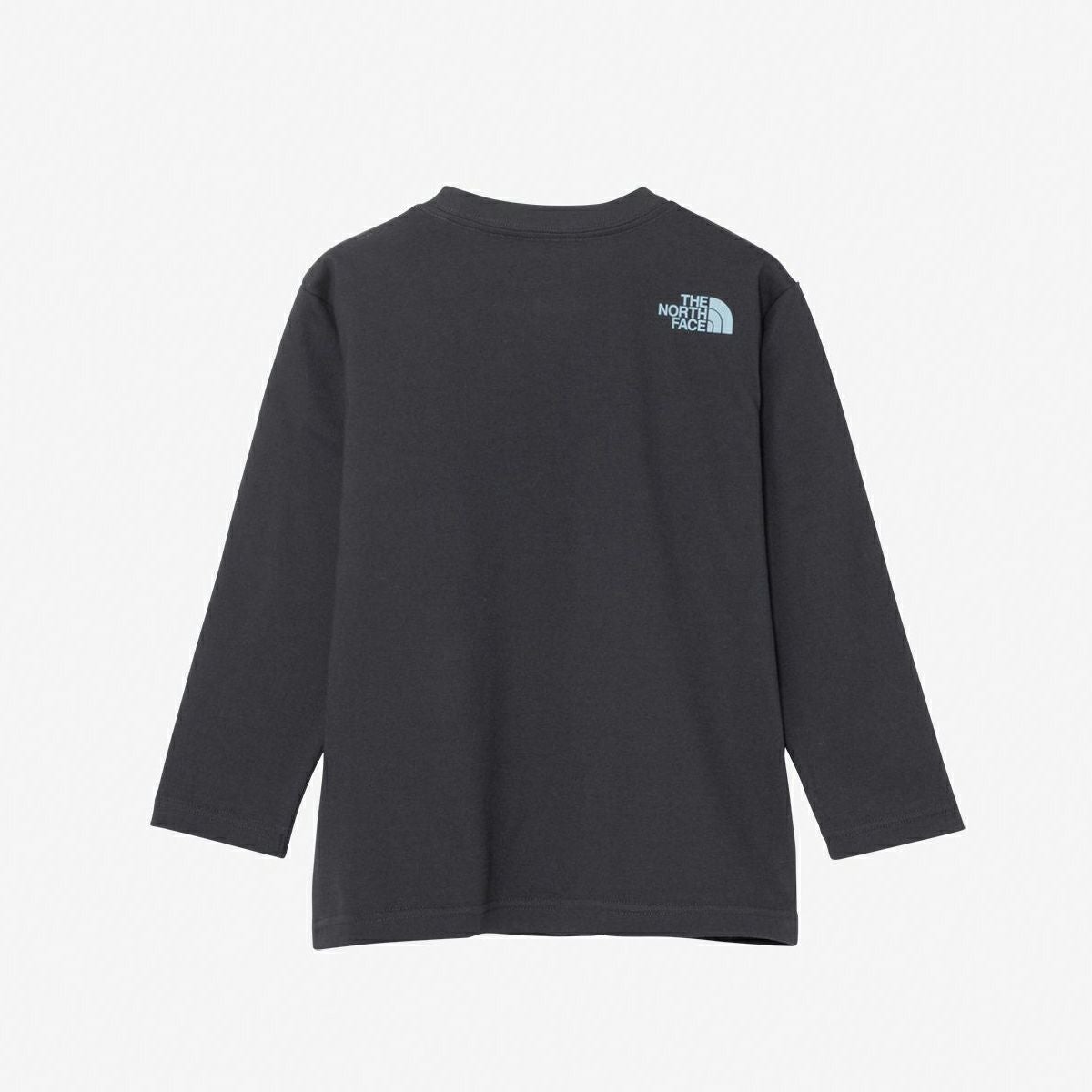 NTT82530ST