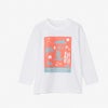 NTT82530ST