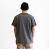 TAION-TS01BS-RS