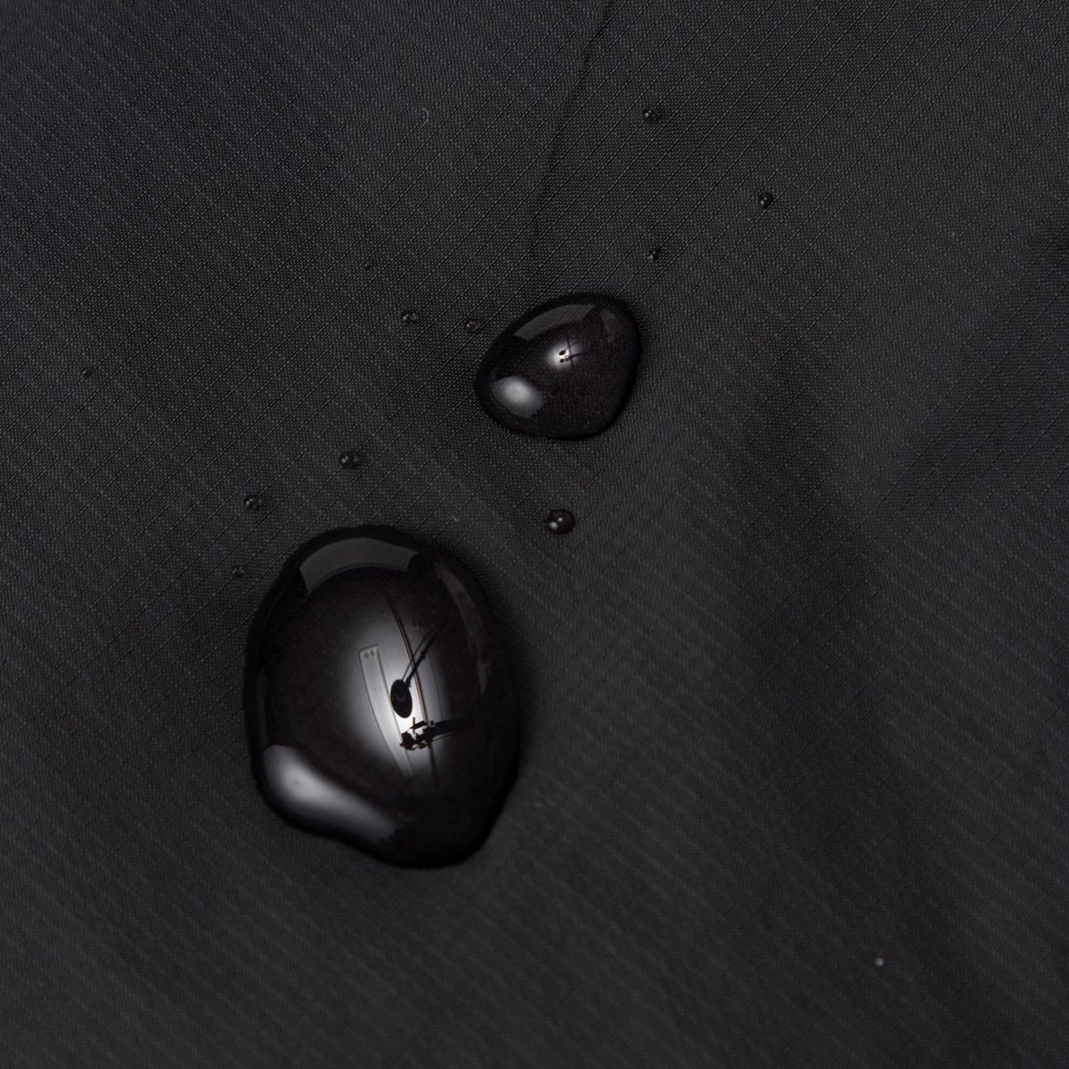 NP12630