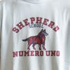 4064 SHEPHERD
