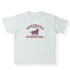 4064 SHEPHERD