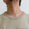 26575116