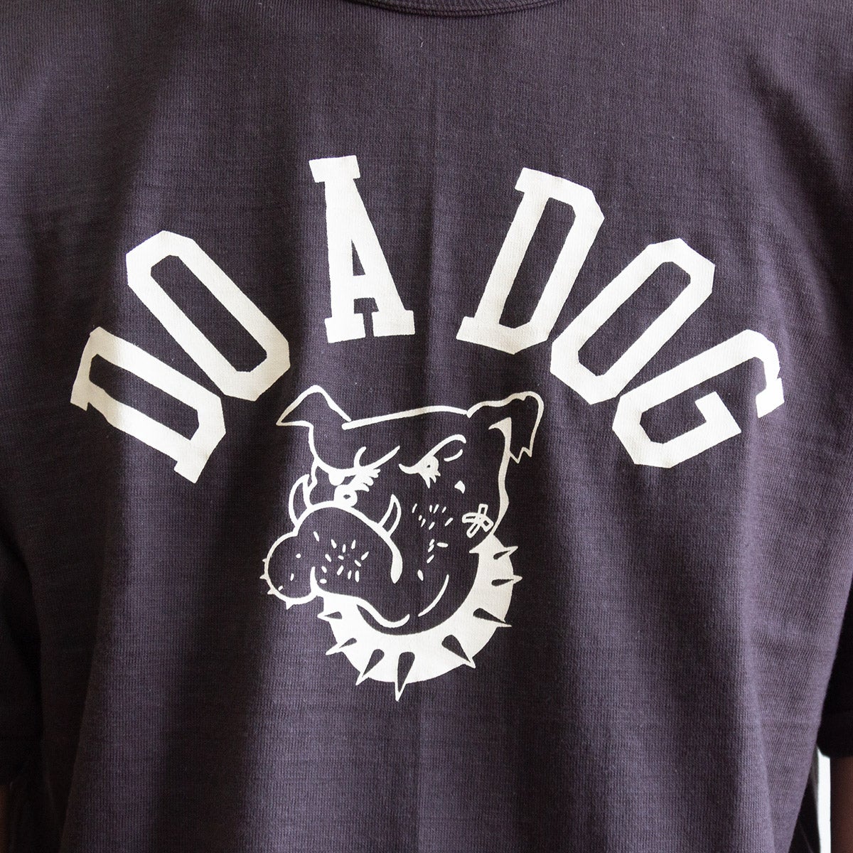 4601 DO A DOG